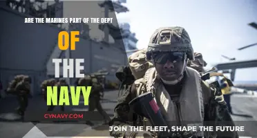 Are Marines Navy? Understanding the Department of the Navy Structure