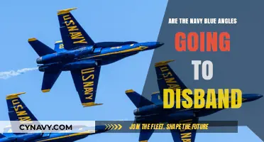 Will the Navy Blue Angels Disband? Insights and Speculations