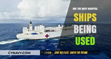 Exploring the Utilization of Navy Hospital Ships: A Comprehensive Analysis