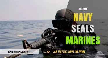 Understanding the Distinct Roles: Navy SEALs vs. Marines