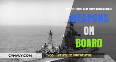 Nuclear Arsenal at Sea: The Truth About Navy Ships and Nukes
