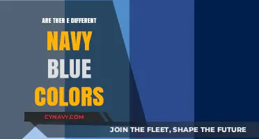 Exploring the Depths: A Guide to Navy Blue's Many Shades