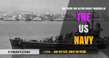 Are There Any Active Heavy Cruisers in the US Navy?