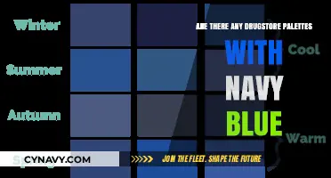 Discovering the Perfect Navy Blue Palette at Your Local Drugstore