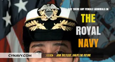 Female Admirals in the Royal Navy: Breaking Barriers and Leading the Fleet