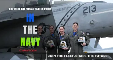 Breaking Barriers: Female Fighter Pilots in the U.S. Navy