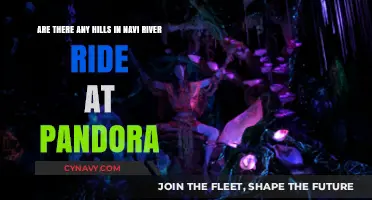 Exploring Navi River Ride: Are There Hills in Pandora's Adventure?