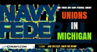 Exploring Navy Federal Credit Union Presence in Michigan