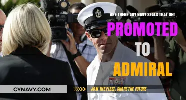 Navy SEALs to Admirals: Uncommon Promotions in Naval Leadership