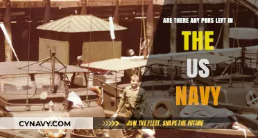 Are There Any PBRs Remaining in the US Navy Today?