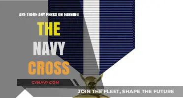 Earning the Navy Cross: Unlocking Prestigious Perks and Lifelong Honors