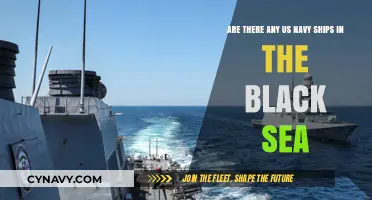 US Navy Presence in the Black Sea: A Geopolitical Analysis