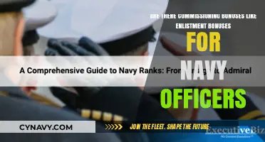 Commissioning Bonuses for Navy Officers: Do They Exist Like Enlistment Bonuses?