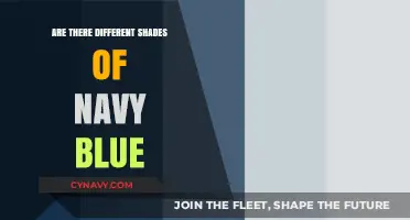 Exploring the Depths: A Guide to Navy Blue's Diverse Shades