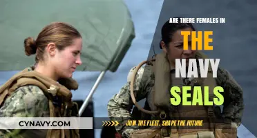 Women in the Navy SEALs: Breaking Barriers and Making History