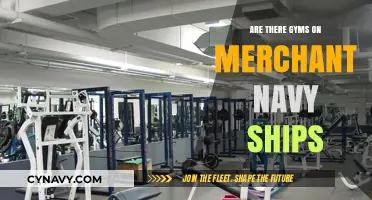 Fitness at Sea: Exploring Gym Facilities on Merchant Navy Vessels