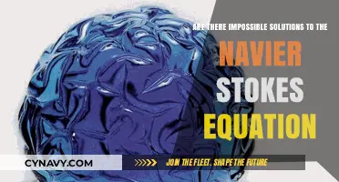 Unraveling the Navier-Stokes Enigma: Are Some Solutions Truly Impossible?