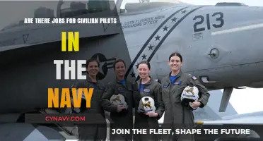 Civilian Pilots in the Navy: Exploring Career Opportunities and Roles