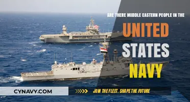 Middle Eastern Americans Serving in the U.S. Navy: Facts and Insights