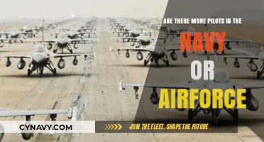 Navy vs. Air Force: Which Branch Has More Pilots?