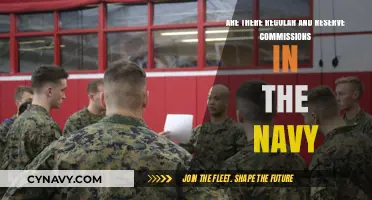 Understanding Naval Commissions: Regular vs. Reserve Roles