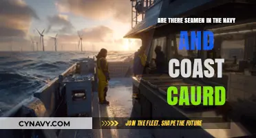 Exploring Maritime Careers: Navy vs. Coast Guard - Where Do Seamen Serve?