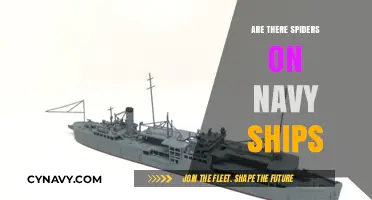 Exploring the Presence of Spiders on Navy Vessels: A Maritime Mystery