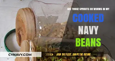 Unwanted Critters or Just Sprouts? The Truth About Your Navy Beans