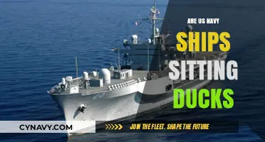 Vulnerabilities at Sea: Are US Navy Ships Sitting Ducks?