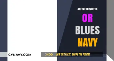 Decoding Dress Codes: The Great White vs. Blue Navy Debate