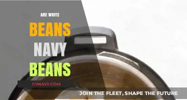 Decoding Legume Confusion: Are White Beans and Navy Beans the Same?