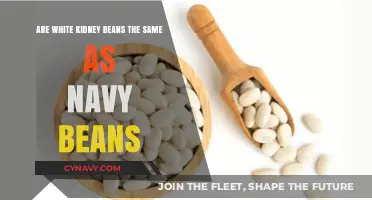 White Kidney Beans vs. Navy Beans: Unraveling the Legume Confusion