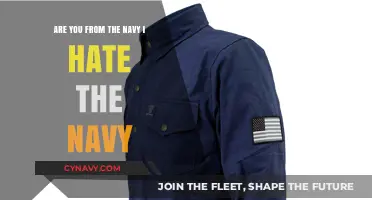 Beyond the Blue: A Critical Look at Naval Service