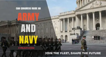 Empowering Congress: The Authority to Raise Armies and Navies