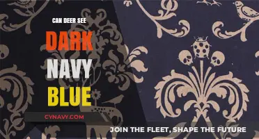 Can Deer See Dark Navy Blue? Unveiling the Mysteries of Their Vision
