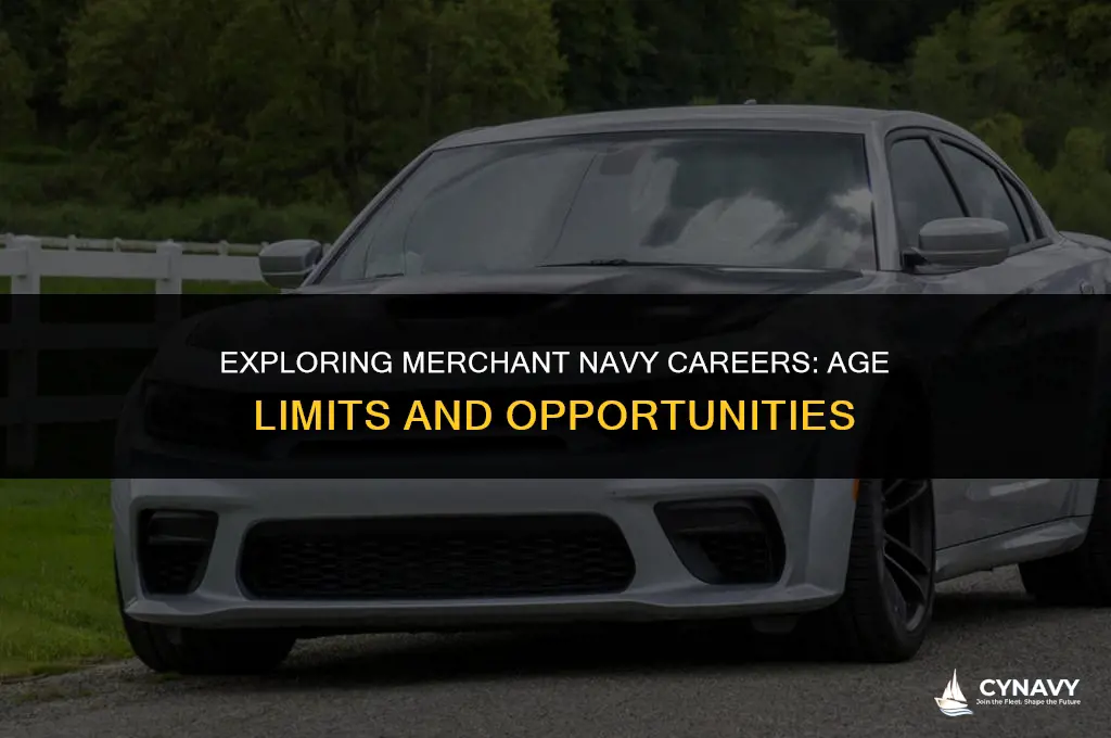 can i join the merchant navy after 29 years old