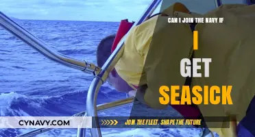 Seasick but Navy-Bound? Overcoming Motion Sickness to Serve at Sea