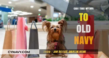 Paws and Shop: A Guide to Pet-Friendly Stores Like Old Navy
