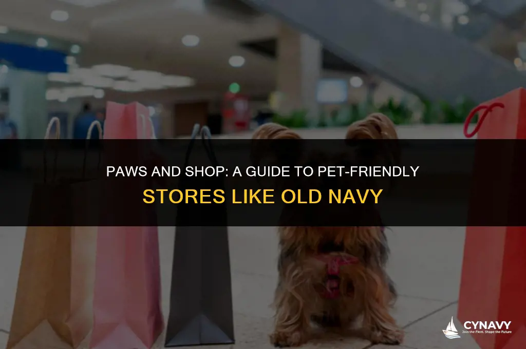 can i take my dog to old navy