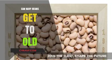 Can Navy Beans Go Bad? Shelf Life and Storage Tips