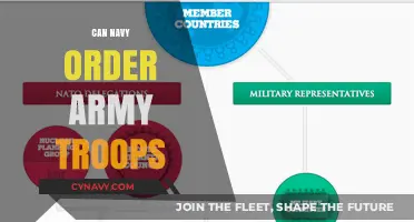 Exploring Inter-Branch Military Command: Can Navy Order Army Troops?