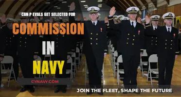 Can P-Eval Candidates Successfully Secure Navy Commission Selection?