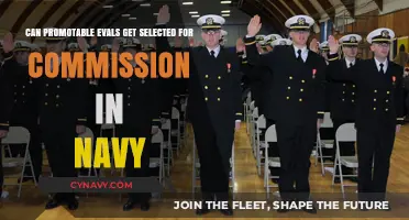 Promotable Evals: Can They Secure Navy Commission Selection?