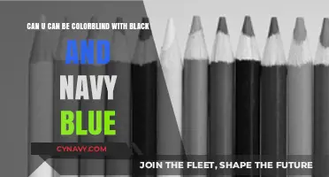 Exploring Colorblindness: Can You Really See Black and Navy Blue?