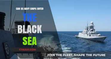 Geopolitical Tensions: US Navy's Black Sea Access Dilemma