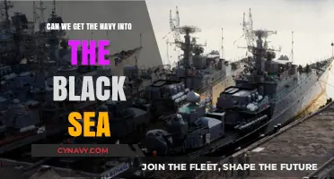 Can the Navy Navigate the Black Sea's Complex Geopolitical Waters?