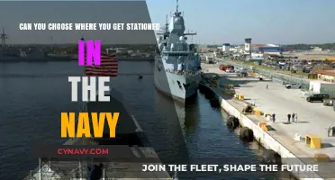 Navy Stationing Preferences: Can You Choose Your Duty Location?
