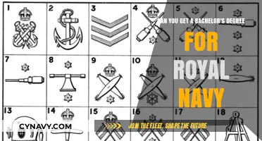 Royal Navy Bachelor's Degree: Pathways to Academic and Naval Excellence