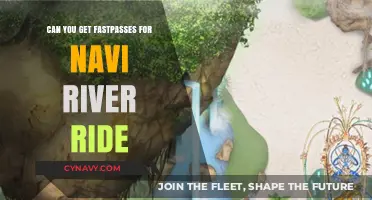 How to Secure FastPasses for Navi River Ride at Pandora