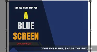 Decoding Dress Codes: Navy vs. Blue Screen Dilemma